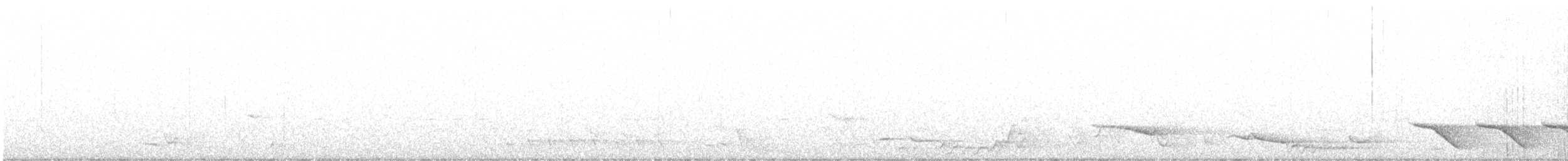 Ménure superbe - ML248193031