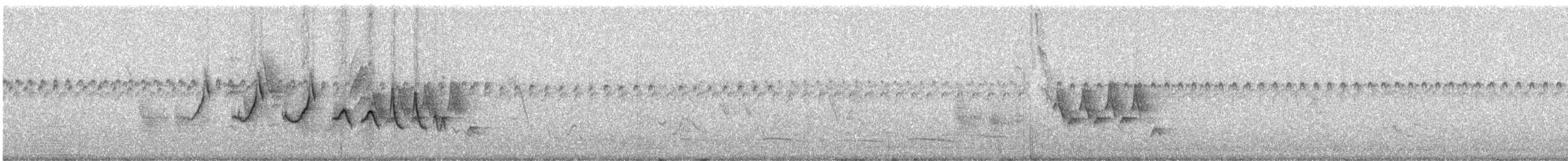 Mascarita Equinoccial (auricularis/peruviana) - ML248228