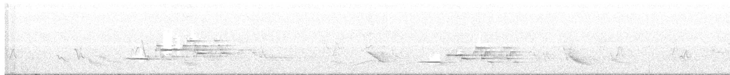 Дрізд-короткодзьоб плямистоволий - ML248229171