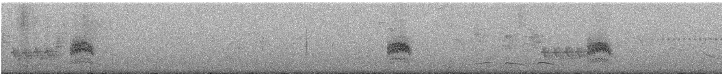 Paruline à lores noirs - ML248236