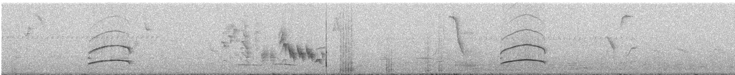 Темноголовый миарх (nigriceps/atriceps) - ML248237