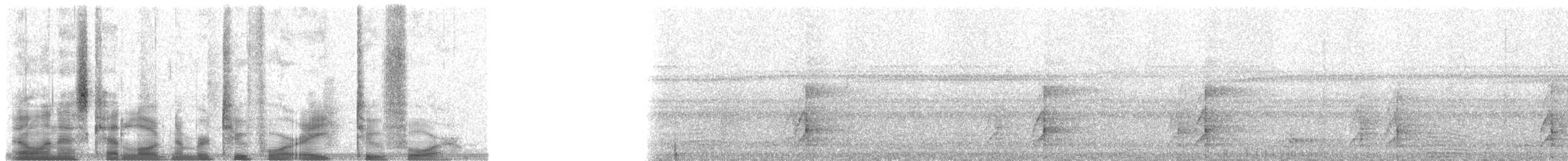 Batılı Kıvırcık Beçtavuğu - ML24824