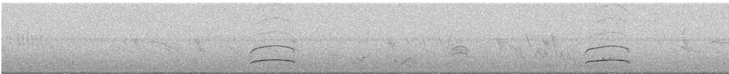 mørkhettetyrann (nigriceps/atriceps) - ML248240