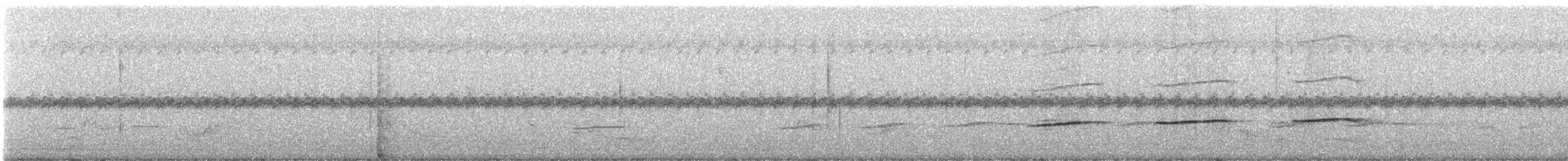 Streifenkuckuck - ML248243