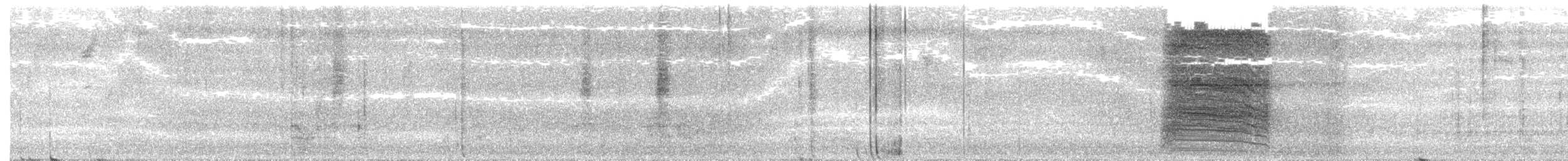 Gray Catbird - ML248244221