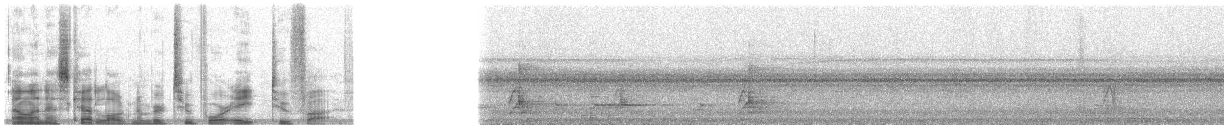 Batılı Kıvırcık Beçtavuğu - ML24825