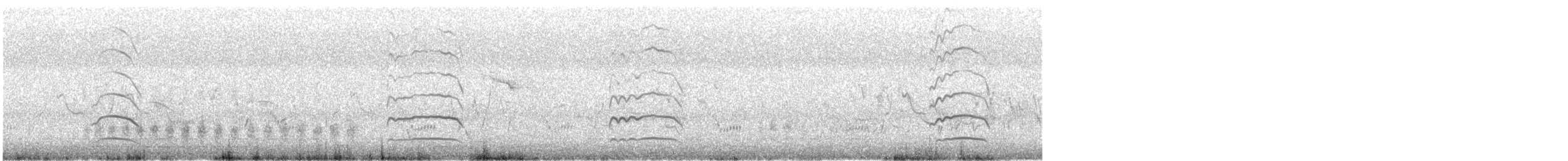 Black-tailed Godwit - ML248278181