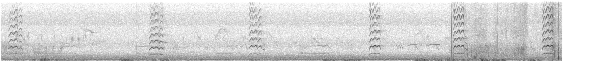 Black-tailed Godwit - ML248278201