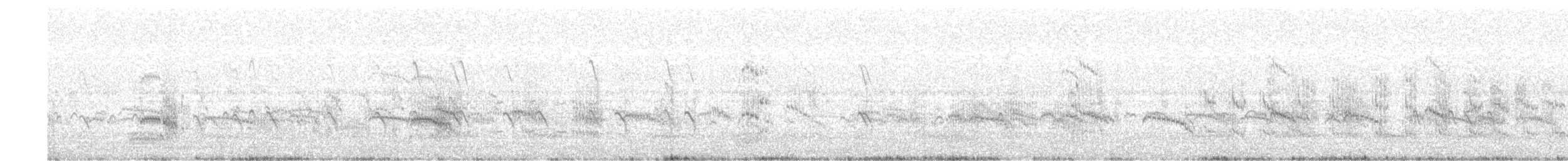 Arctic Tern - ML248286081