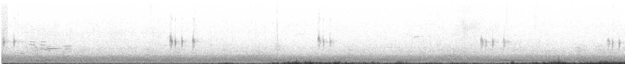 Antillennachtschwalbe - ML248286691