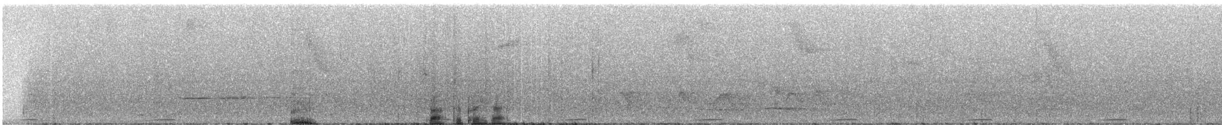 holoubek hnědoprsý - ML248303