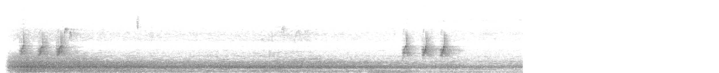 Тауї плямистий - ML248312091