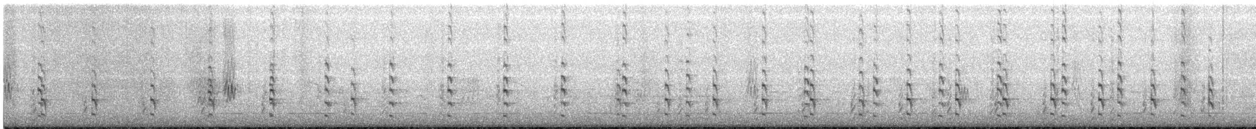 Chevalier semipalmé - ML248316451