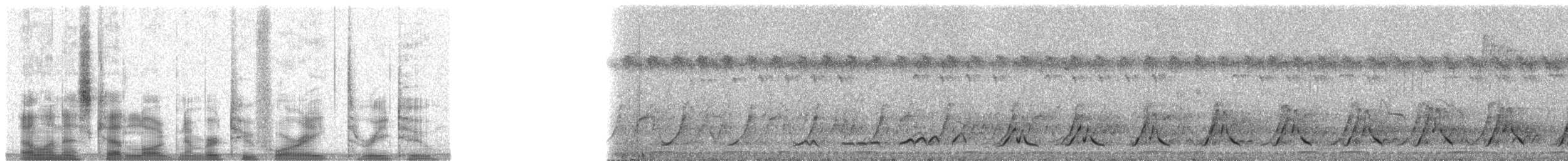 Felsenwachtel - ML24832