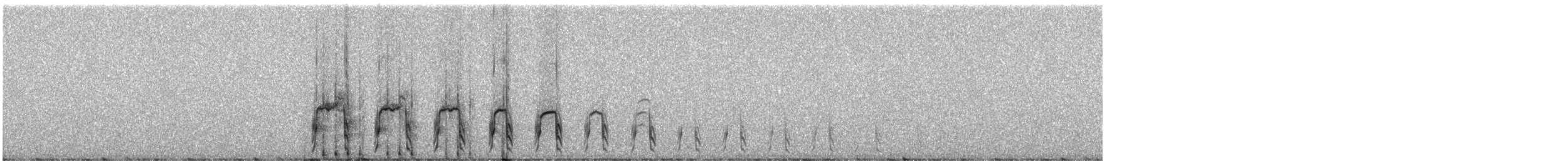 Ornate Tinamou - ML248321
