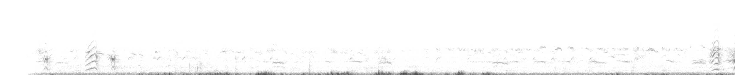 keptuška běloocasá - ML248345061
