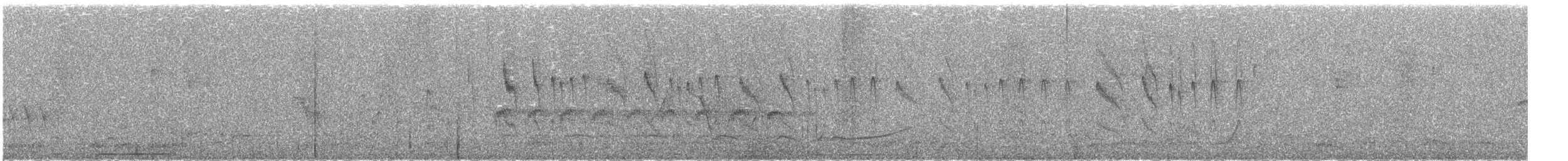 Spot-fronted Swift - ML24834941