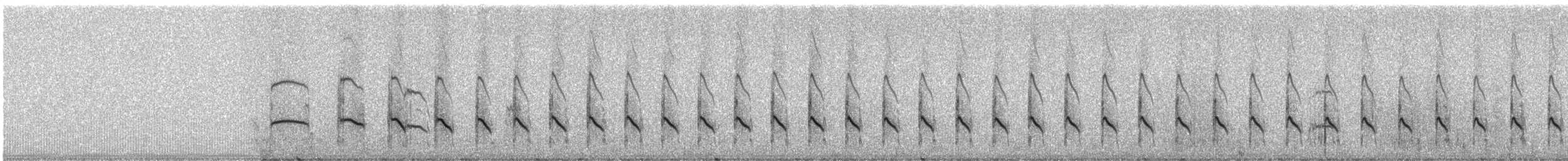 Lesser Yellowlegs - ML248361