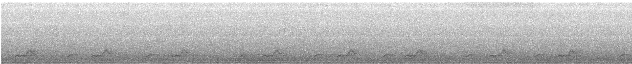 Schwarzkehl-Nachtschwalbe - ML248365541