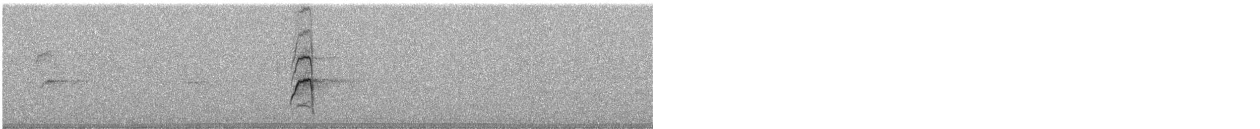 Çiguanko Ardıcı (anthracinus) - ML248382