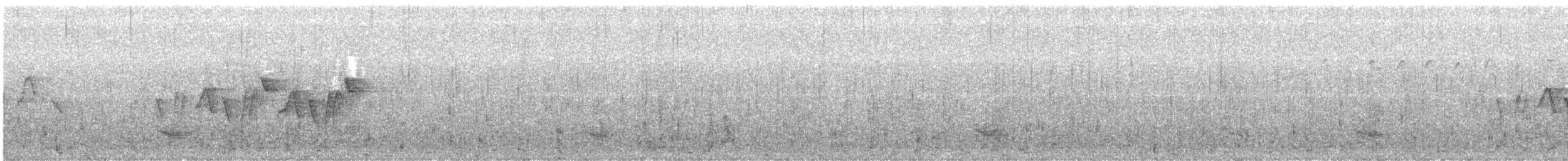 Common Yellowthroat - ML248394161