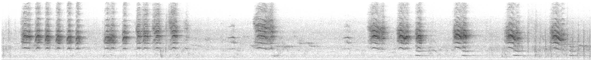 Great Reed Warbler - ML248396771