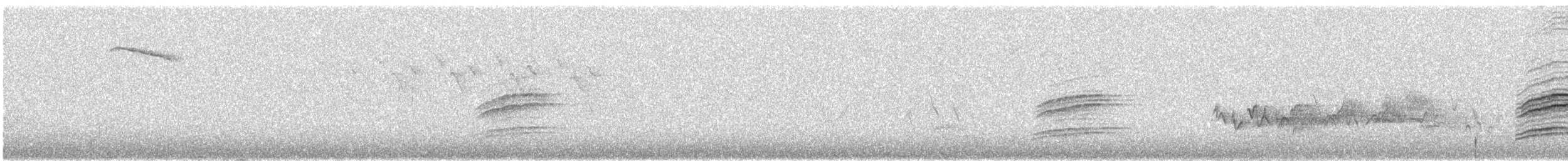 Дрізд-короткодзьоб плямистоволий - ML248398871