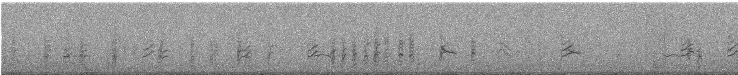 Schwarzzeisig - ML248408