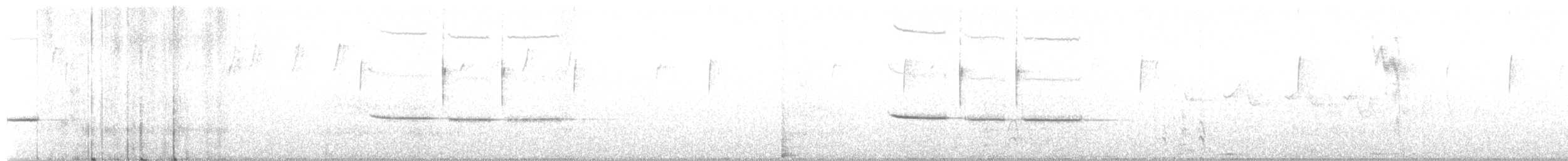 雑種 カロライナコガラ ｘ アメリカコガラ - ML248410511
