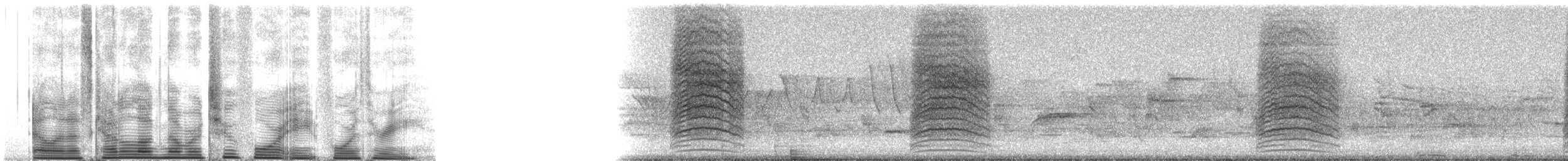 Gray Catbird - ML24843