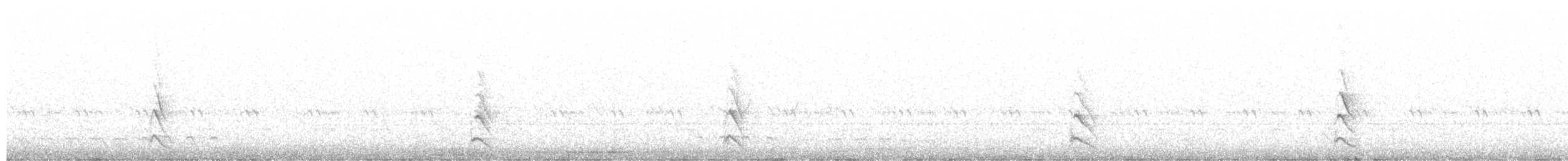 Chevêchette des saguaros - ML248441521