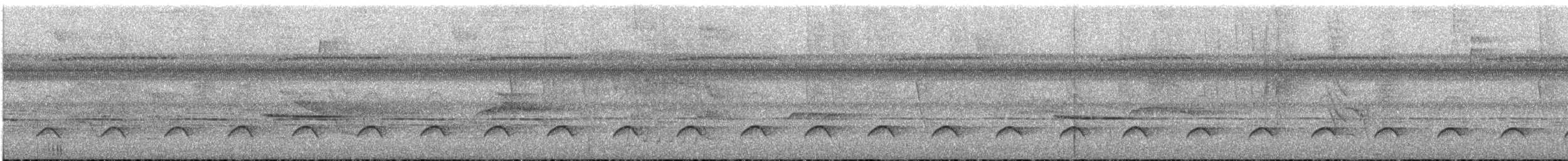 Лінивка-коротун сіродзьоба - ML24846401