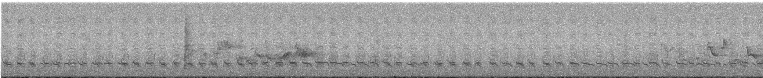 Дятел-смоктун сосновий - ML248526571