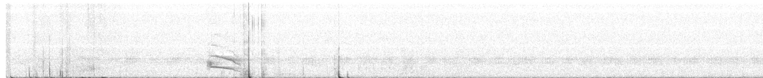 Австралийский совиный козодой - ML248549001