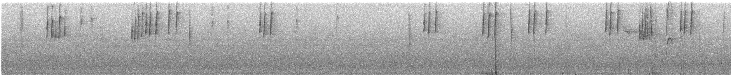 Gri Gerdanlı Klorospingus [canigularis grubu] - ML248556