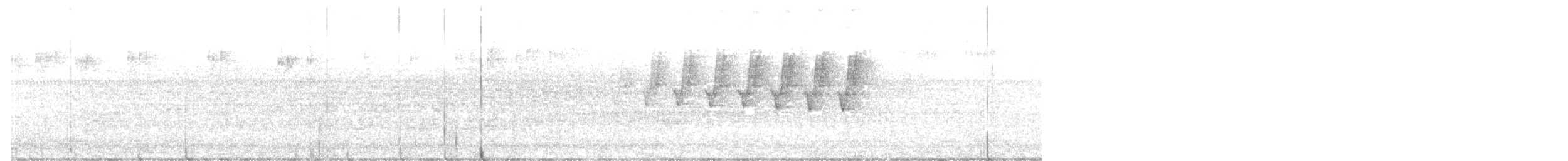 Protonoter Ötleğeni - ML248574171