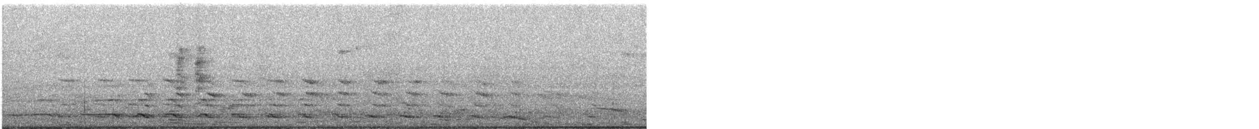 Mittelmeermöwe - ML248586701