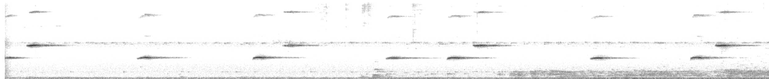 svartryggkløftstjert - ML248588021