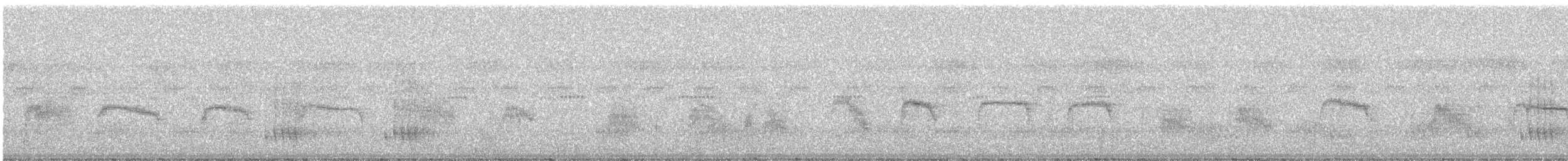 Москверо бронзовий [група flaviventris] - ML248592