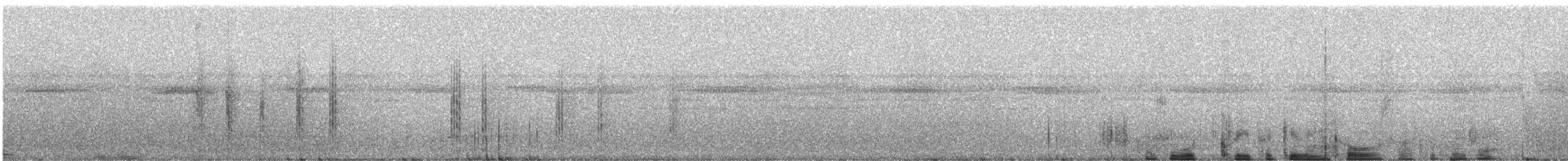Grimpar géant (groupe orenocensis) - ML248598