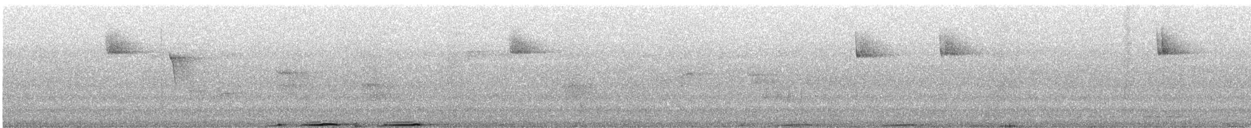 holub světlebřichý - ML248612431