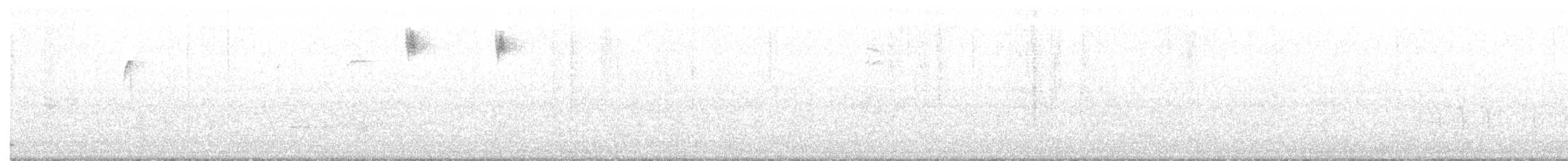 Black-and-white Warbler - ML248632551