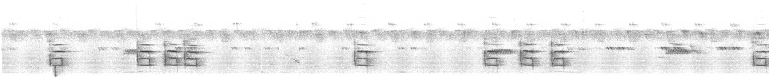 Camaroptère à tête grise (groupe brevicaudata) - ML248649461