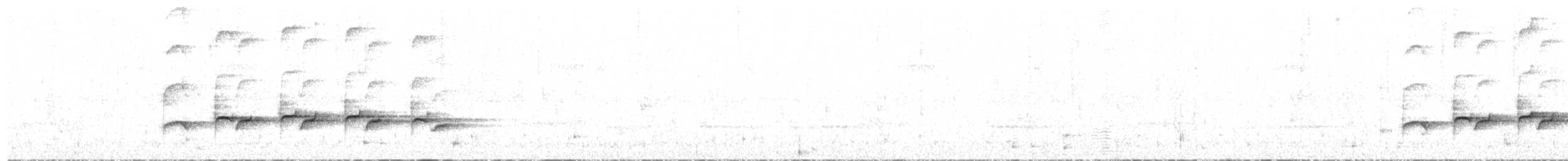 Willis's Antbird - ML248663421