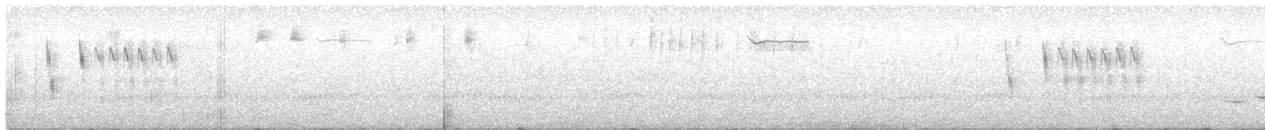 Sedge Wren - ML248673031