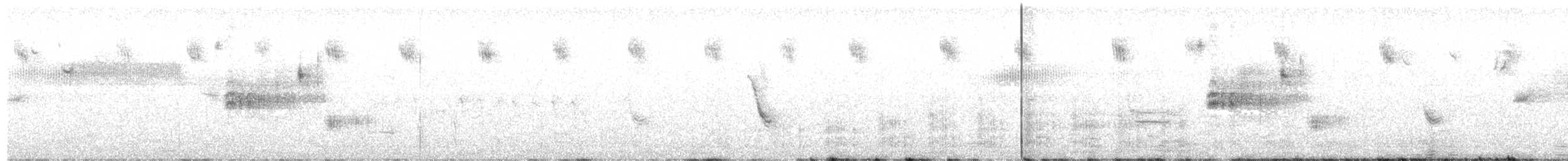 Nelson's Sparrow - ML248673171