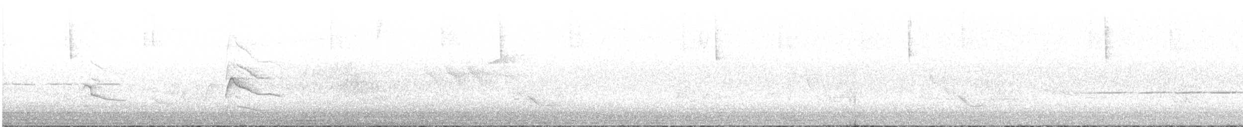 Épervier de Cooper - ML248678071