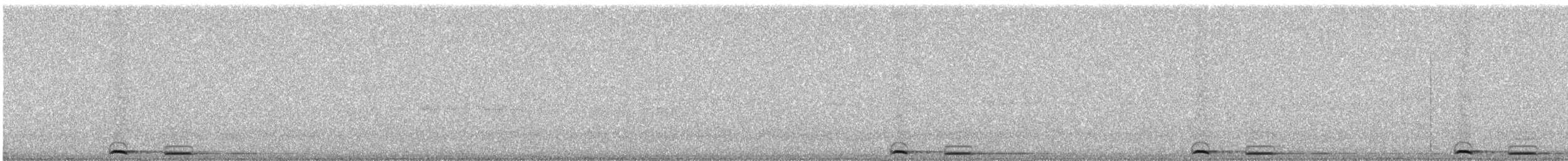 Эгэл хөхөө - ML248679