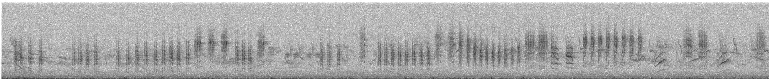 Sedge Warbler - ML248704