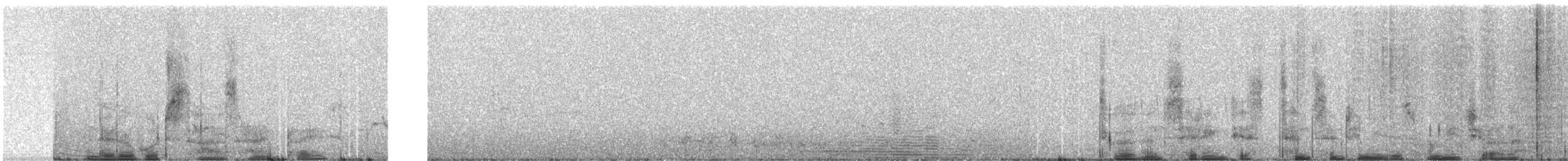 Colibri bourdon - ML248773